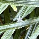 寒さが厳しいので注意しましょう【京都府　宇治市　いちのさか動物病院】