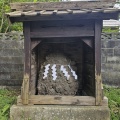 金山町の散策と、大和ルージュという発見。