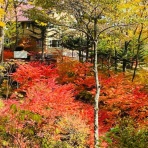 草津丘の上のホテル ブログ