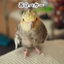 照らされるニュークスィー