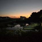 ワンちゃん☆ママン奮闘記