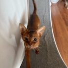 早起きして、元気に歩くりすたん