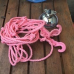 コドモと犬とギリギリおとん