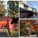 シェビーズのブログ