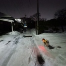 チョイ悪な散歩