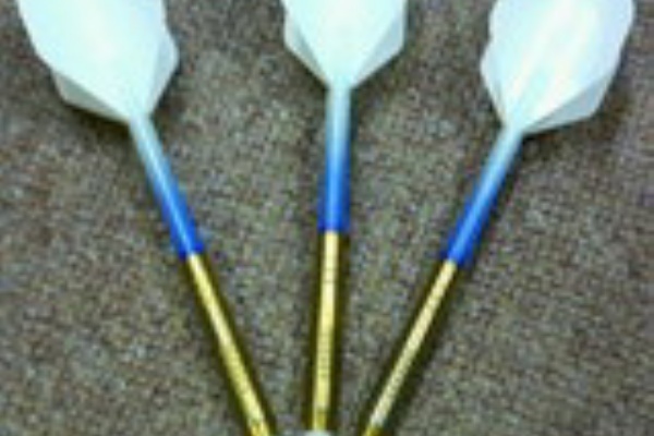 ダーツやろうよ みんなのマイダーツ紹介