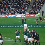 スポーツライター玉木正之氏の知的誠実さを問う