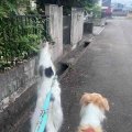 空気読める子読めない子。