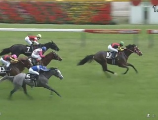 【競馬】リアルスティール半弟の怪物バトルハーデンが種牡馬入り