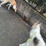 .•*.•*beny beny*•.*•.