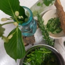 山菜