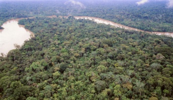【動画】南米アマゾンで「謎の原住民」を撮影、外部との接触ほぼなし
