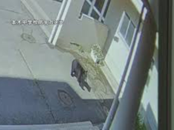 【岩手】クマが中学校に進入　副校長がクマの前に立ちはだかりにらみ合い、生徒守る