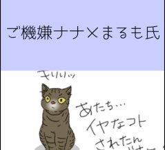 ご機嫌ナナメまるも氏