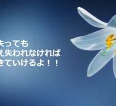 上司や同僚がストレッサーとなっている職場は危ない