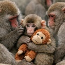 ありがとうございます