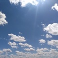 この時期幽霊より怖いかも　Gじゃないよ！