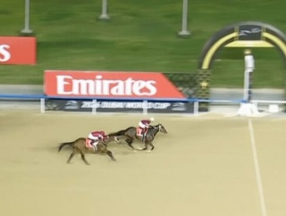 フォーエバーヤング矢作師「チームJAPANとして日本陣営みんなで頑張ってきた」