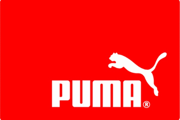 あの有名な 艸 三毛猫ヨゴちゃん可愛いのだよ あの有名な 艸 三毛猫ヨゴちゃん可愛いのだよ