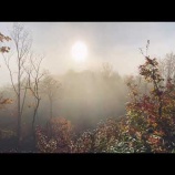 『朝霧の中で』の画像