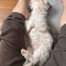 忘れてる