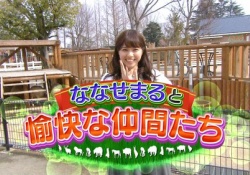 【乃木坂46】ペット飼ってる乃木メンってあと誰がおったっけ??ｗｗｗ