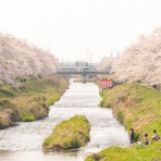 （ ﾟ毒ﾟ）< しんどい。