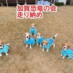 ガオだらけな日々　