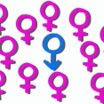 一夫多妻制「少子化一気に解決できます」←日本が頑なにこれを認めない理由www