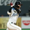 オコエ平沢世代(97年生まれ)とかいう本当の野手暗黒世代