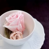 『母と弟の間で~告知のタイミング』の画像