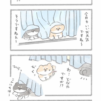 虹の橋 虹の橋〜第1部〜② : じゅんのいぬかわいいメモ
