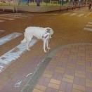 就寝中のパトロールです