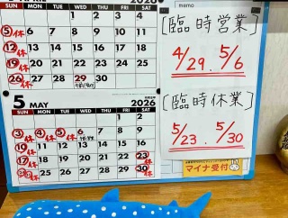 臨時営業のおしらせ
