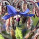 【言葉が変われば未来も変わる】 3199