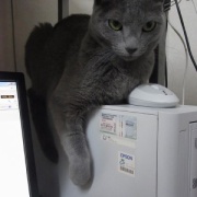 読者の皆様のおかげでブログ開設20年