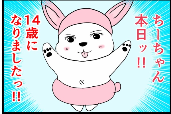 1990年のウエスティランド 旅行日記 Nivada Travelmaster World Time Alarm Ref. 87011 Stainless Steel