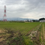 本家智樹 自分の事は棚に上げて