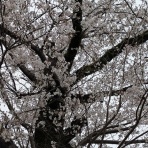 けんじのブログ