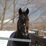 『待ち遠しい』の画像