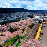 『【2026 津山さくらまつり(鶴山公園)❻】岡山県津山市山下』の画像