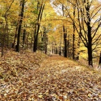 ニューヨーク最新情報。今日のNYを完全実況生中継でお伝えします!!!