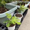 5���˵������ƴ����ޤǸ徯���ν�ޤ��褿��־�β��ź��˸������ޤ���(^^)/