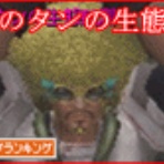 ぽぽのたんの生態観察