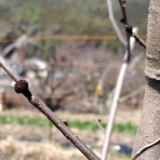 京都❤山里に暮らす