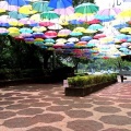 2025城町アンブレラスカイを撮ってきました☂️📸（館林市）