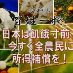 晴 天 と ら 日 和