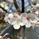 その"助けたい"の前に、向き合うことがある。