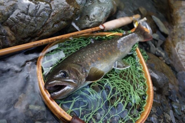 横田ロッド TN244 6f6in ♯3 J.Yokota maker 1030 バンブーロッド | J