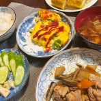 おかんの毎日と食事と猫